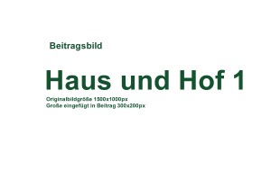 Haus und Hof 1