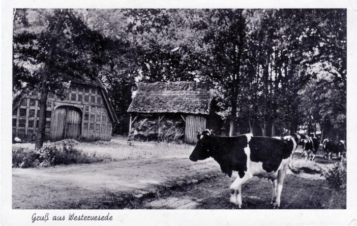 Heitmanns, Westerende