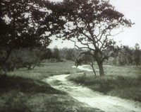 Aus dem Film "Die Heide stirbt"