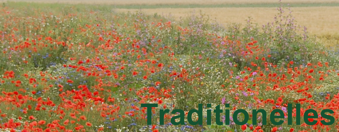 Traditionelles