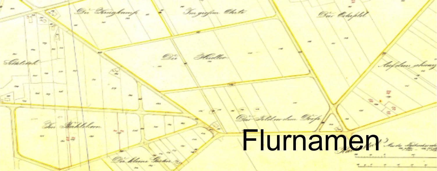 Flurnamen-Beitrag