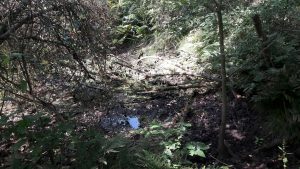 Mergelstich Voressen