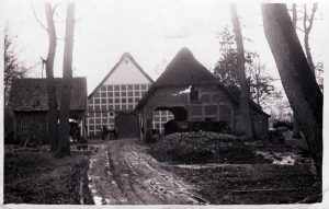 1934 - Westervesede Nr. 12 - Claus